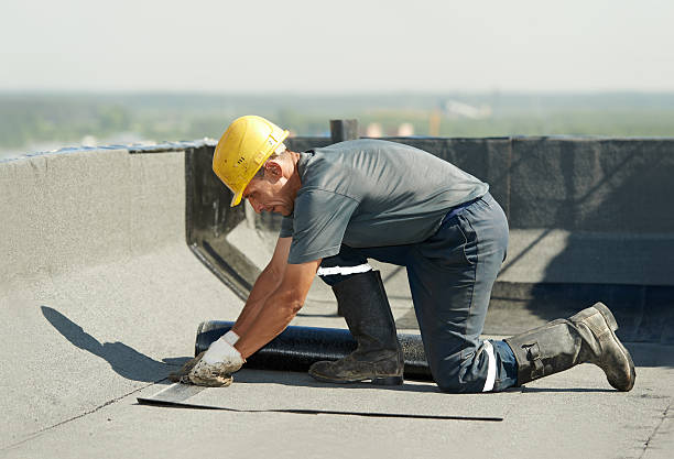 Best Blown-in Insulation  in Tega Cay, SC