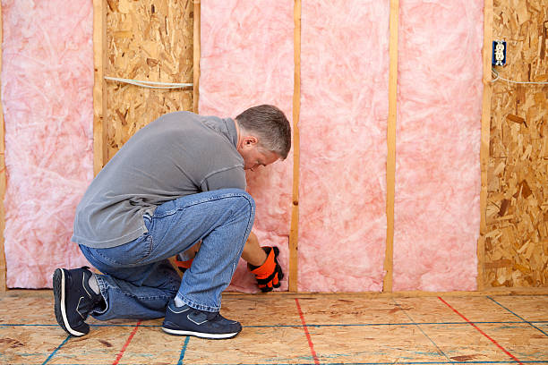 Best Professional Insulation Contractor  in Tega Cay, SC