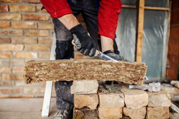 Best Insulation Repair Services  in Tega Cay, SC