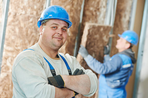 Best Cellulose Insulation  in Tega Cay, SC