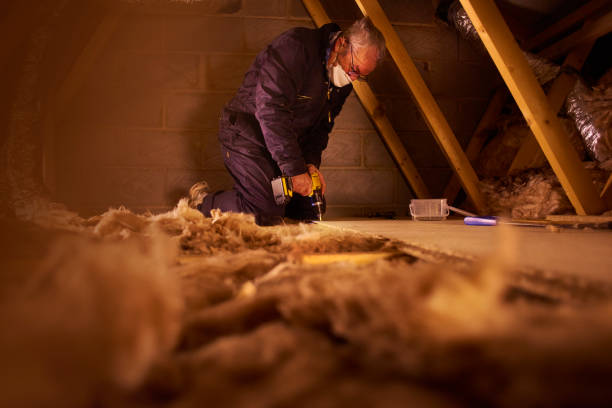 Best Residential Insulation Services  in Tega Cay, SC